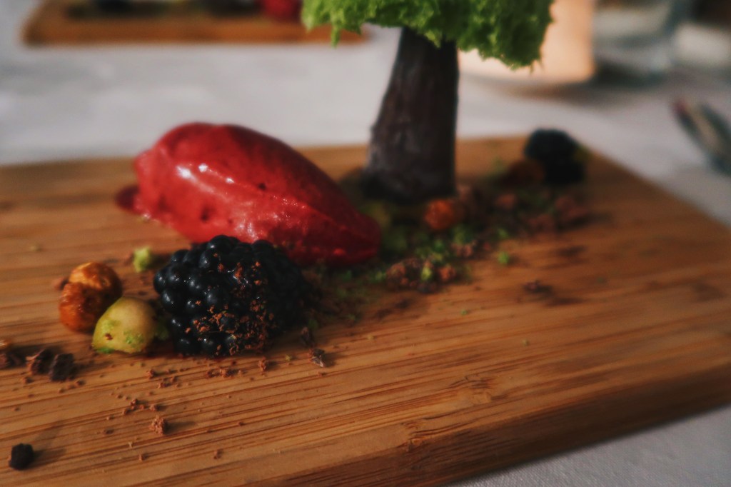 New Forest gateau at The Elderflower, Lymington