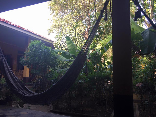 The Monkey Republic - Leon, Nicaragua