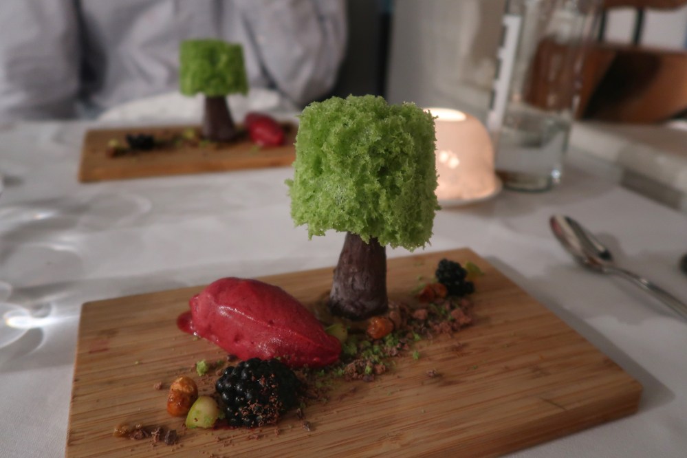 New Forest gateau at The Elderflower restaurant, Lymington